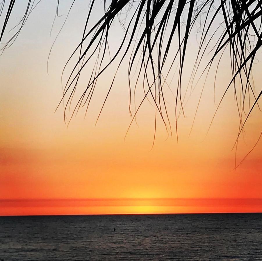 301 Sandy Shores Condos St. Pete Beach Exterior foto